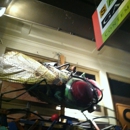 Sampoe Gallery