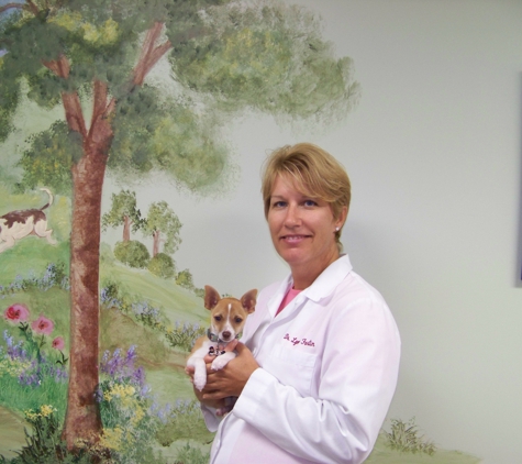 Newington Veterinary Clinic - Newington, CT