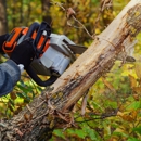 Tree Ya Later - Tree Service
