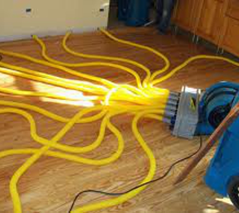 Elements Carpet Cleaning - Jacksonville, FL