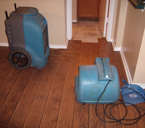 Best Carpet Cleaning Experts - San Antonio, TX