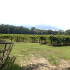 Irvin House Vineyards