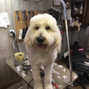 Bayou Vista Pet Grooming - Pet Grooming