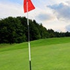 Robin Nigro Golf Academy gallery