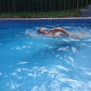 Shenandoah Blue Ridge Gallery - Swimming Instruction