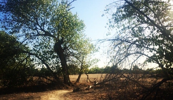 California State University Bakersfield - Bakersfield, CA