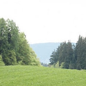 Gallery Image Number 2