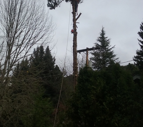 Tree -Mend-Us - Medford, OR