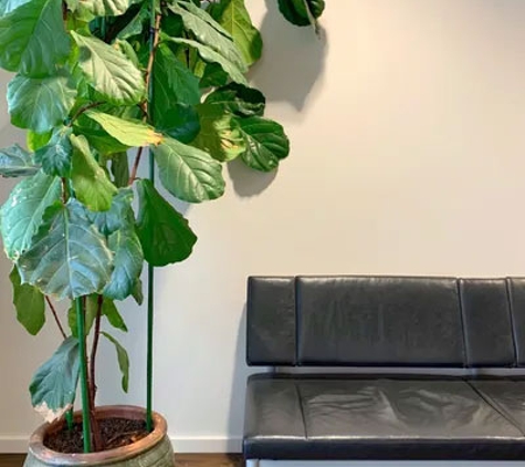 Orange Specialist clinic - Orange, NSW