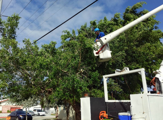 Top Notch Tree Services Inc. - Pompano Beach, FL