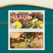 Gallery Image Number 4