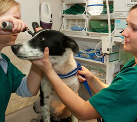 Allora Veterinary Clinic - Old Talgai, QLD