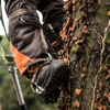 JNP Tree Removal gallery