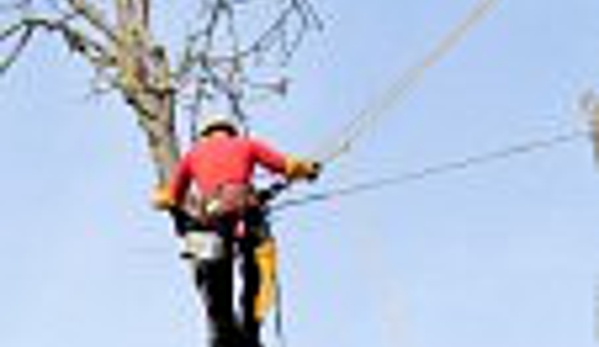 j-s-treeservice.com - Santa Barbara, CA