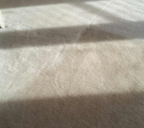 Demo's Carpet Cleaning Service - Flint, MI. Carpet Cleaning!