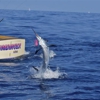 Kona Charter Sport Fishing gallery