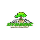 Dynamic Tree Service