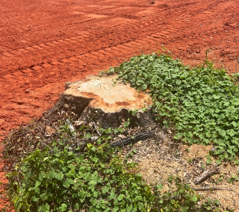 Superior Stump Grinding