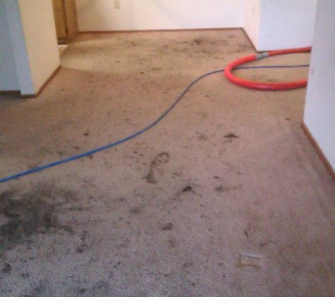 Able Body Carpet Cleaning LLC - San Jose, CA