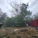 Lopez Tree Services and Landscaping - Tree Service