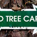 Star City Tree Service LLC. - Arborists