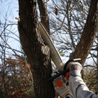 PR Tree Service