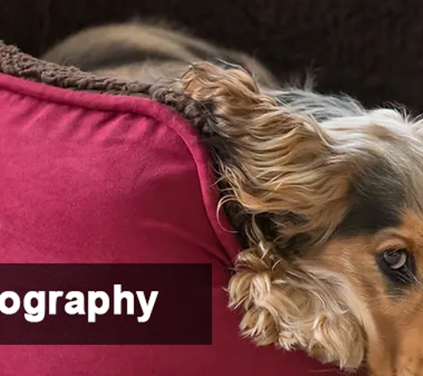Mylonas & O'Callaghan Vet Hospital - Blacktown, NSW. Radiography