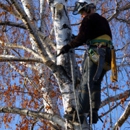 A-1 Affordable Tree Service - Arborists