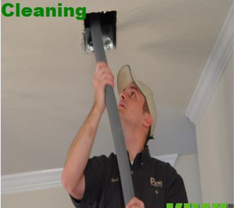 Kiwi Carpet Cleaning Services - Plano, TX