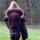 Lone Elk Park