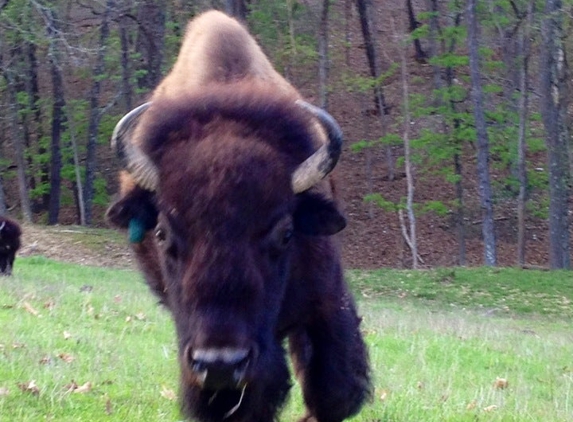 Lone Elk Park - Valley Park, MO