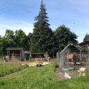 Herrick Farms - Fruit & Vegetable Markets