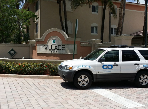 D & D Professional Security llc - Deerfield Beach, FL