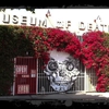 Museum of Death gallery