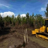 Southern Pines Land Management gallery