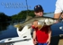 Cast Away Adventures - Boat Tours
