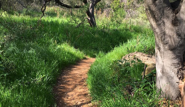 Charmlee Wilderness Park - Malibu, CA