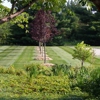 3-D Lawncare & Landscaping gallery