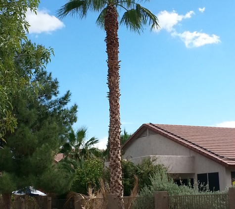 Beckwith Arboriculture LLC - Glendale, AZ