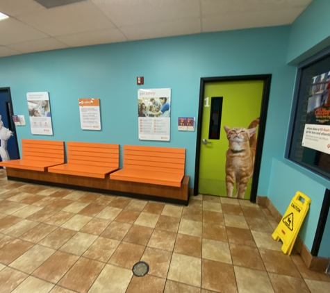 Banfield Pet Hospital - Chesapeake, VA