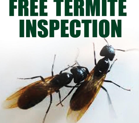 Kilter Termite and Pest Control - Newport Beach, CA