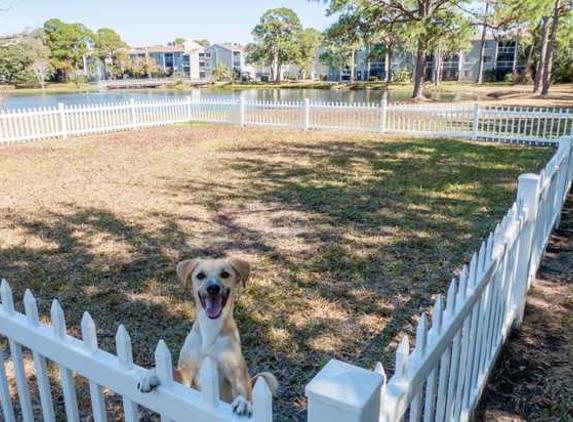 Promenade at Edgewater Apartments - Dunedin, FL