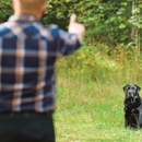 Aaa Dog Training - Pet Training