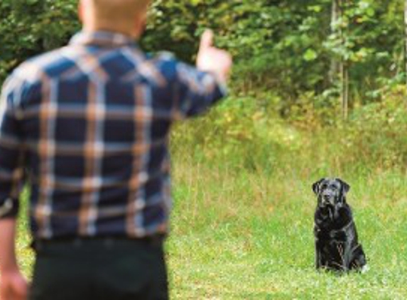 AAA Dog Training & Dog Kennel, Inc.