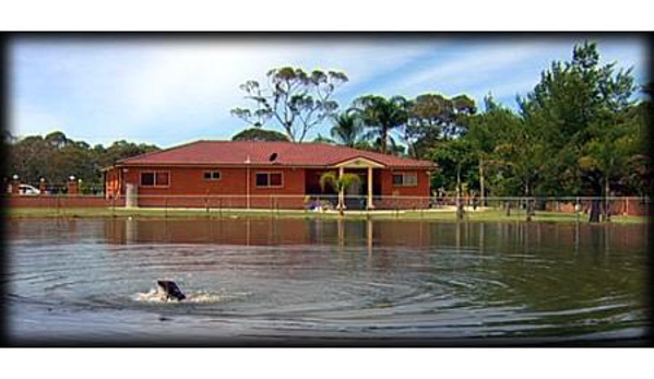 Guard Dog Training Centre Pty Ltd - Berkshire Park, NSW