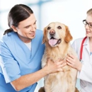 Animal Hospital At Ethan's Green - Veterinary Clinics & Hospitals