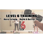 Level6 Training