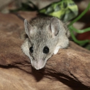 J R's Pest Control - Pest Control Equipment & Supplies