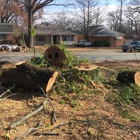 Brothers Tree Service