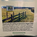 Sanctuary Vegan Cafe - Coffee Shops